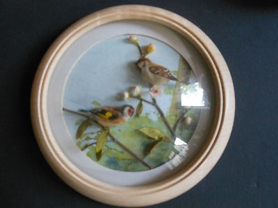 Treesparrow and Goldfinch (5-inch)